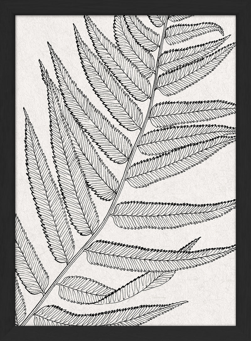 Botanical Study VIII. Mini Print