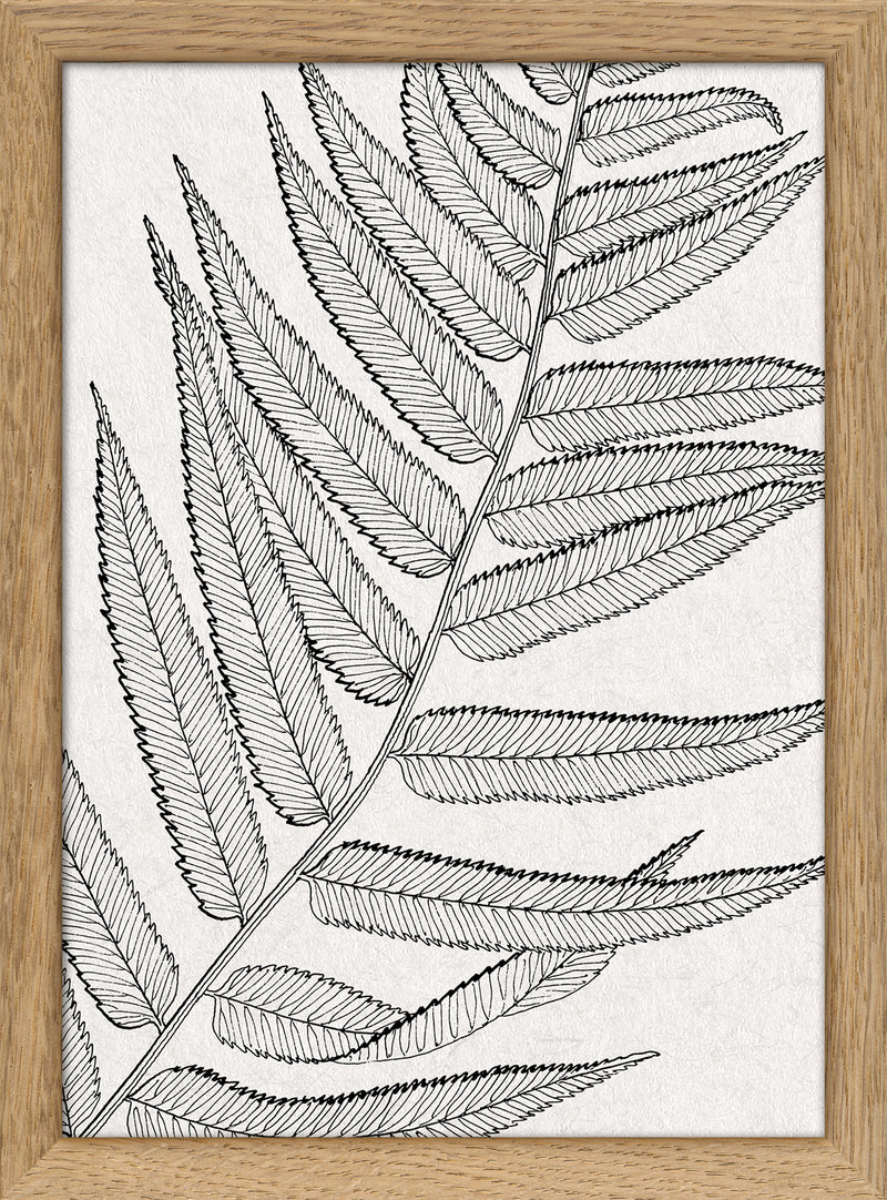 Botanical Study VIII. Mini Print