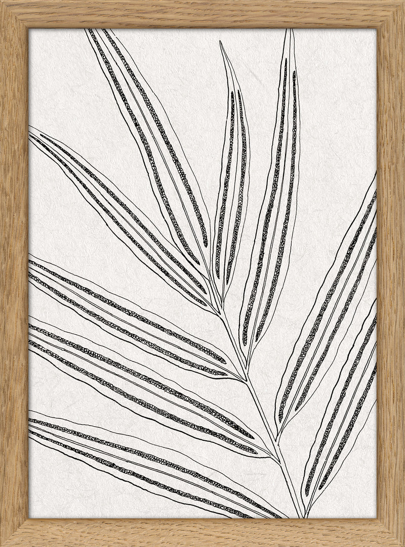 Botanical Study IX Mini Print