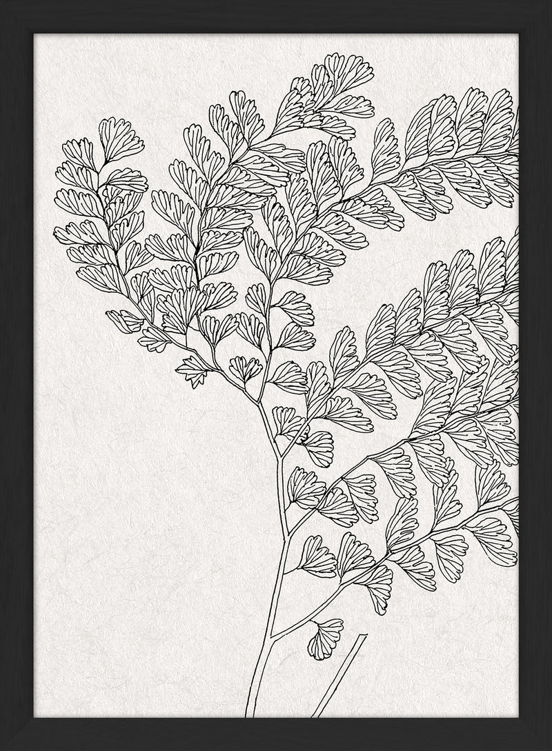 Botanical Study X. Mini Print