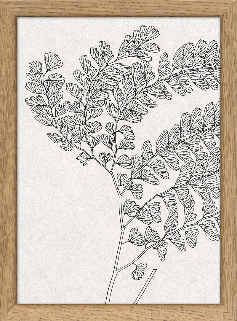 Botanical Study X. Mini Print
