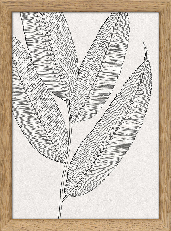 Botanical Study XI. Mini Print