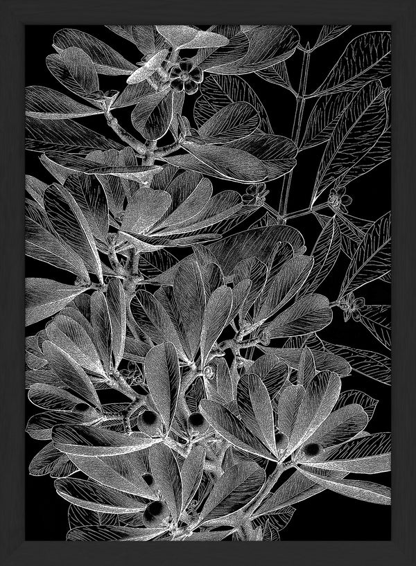 Botanical Study II. Mini Print