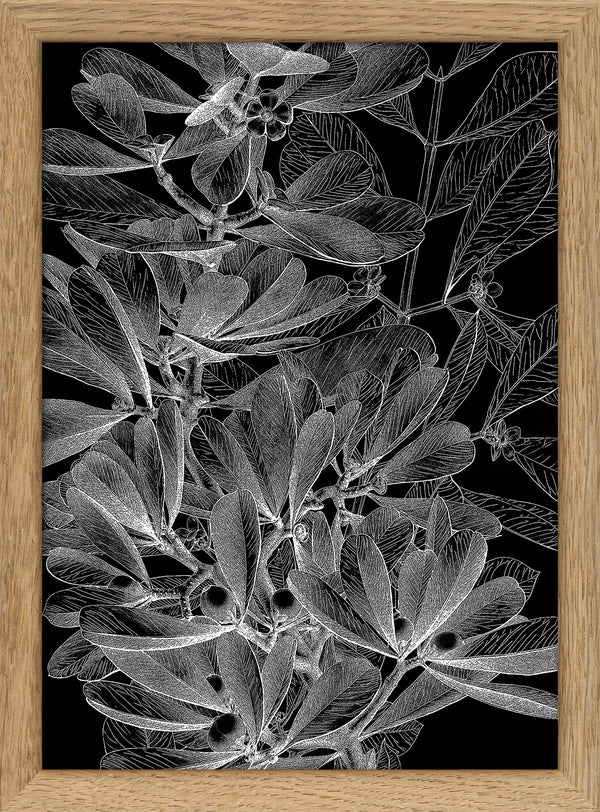 Botanical Study II. Mini Print