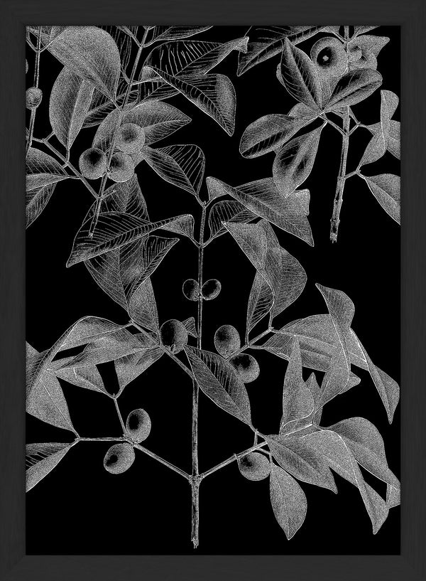 Botanical Study III. Mini Print