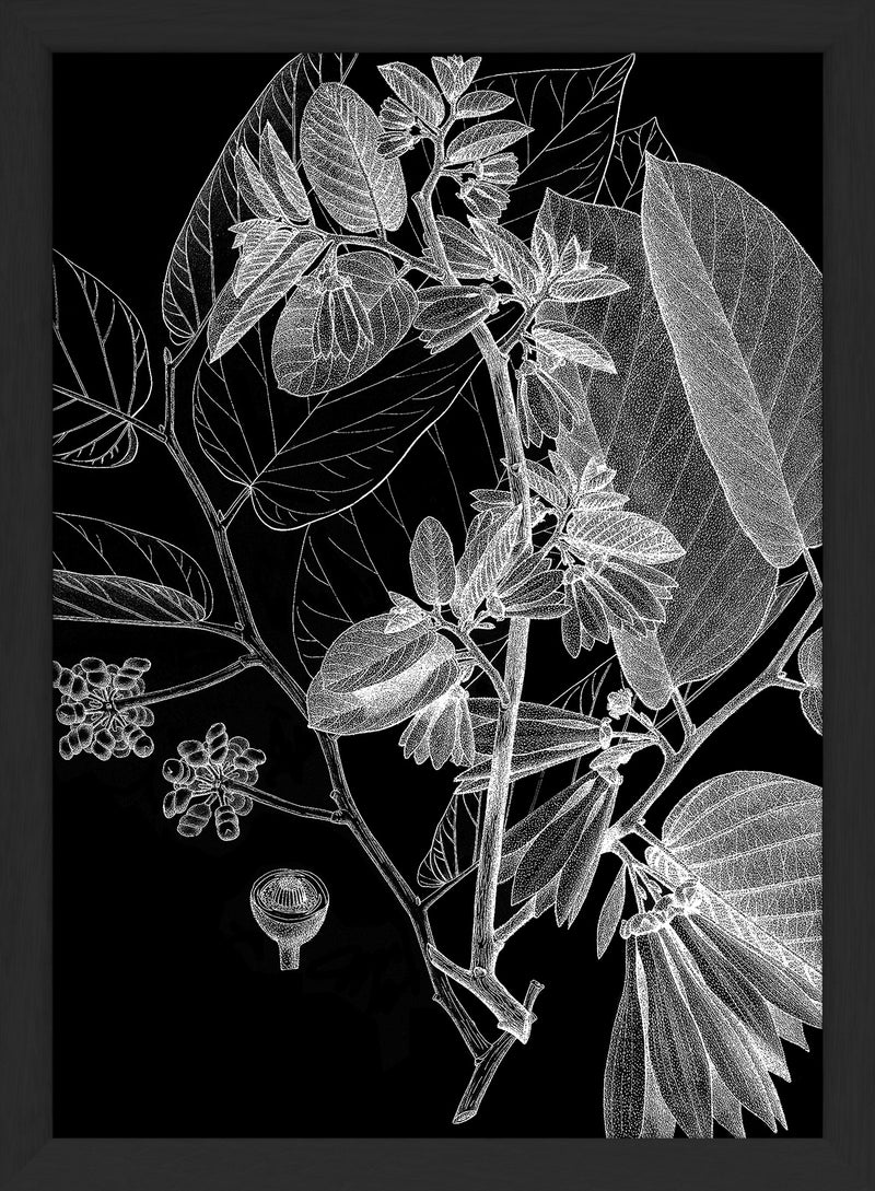 Botanical Study V. Mini Print