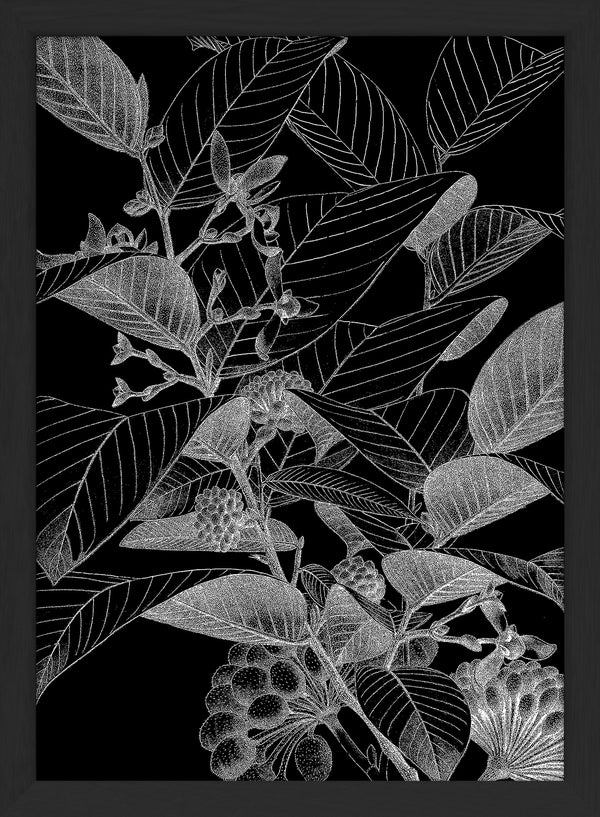 Botanical Study VII. Mini Print