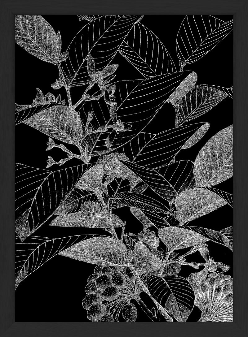 Botanical Study VII. Mini Print