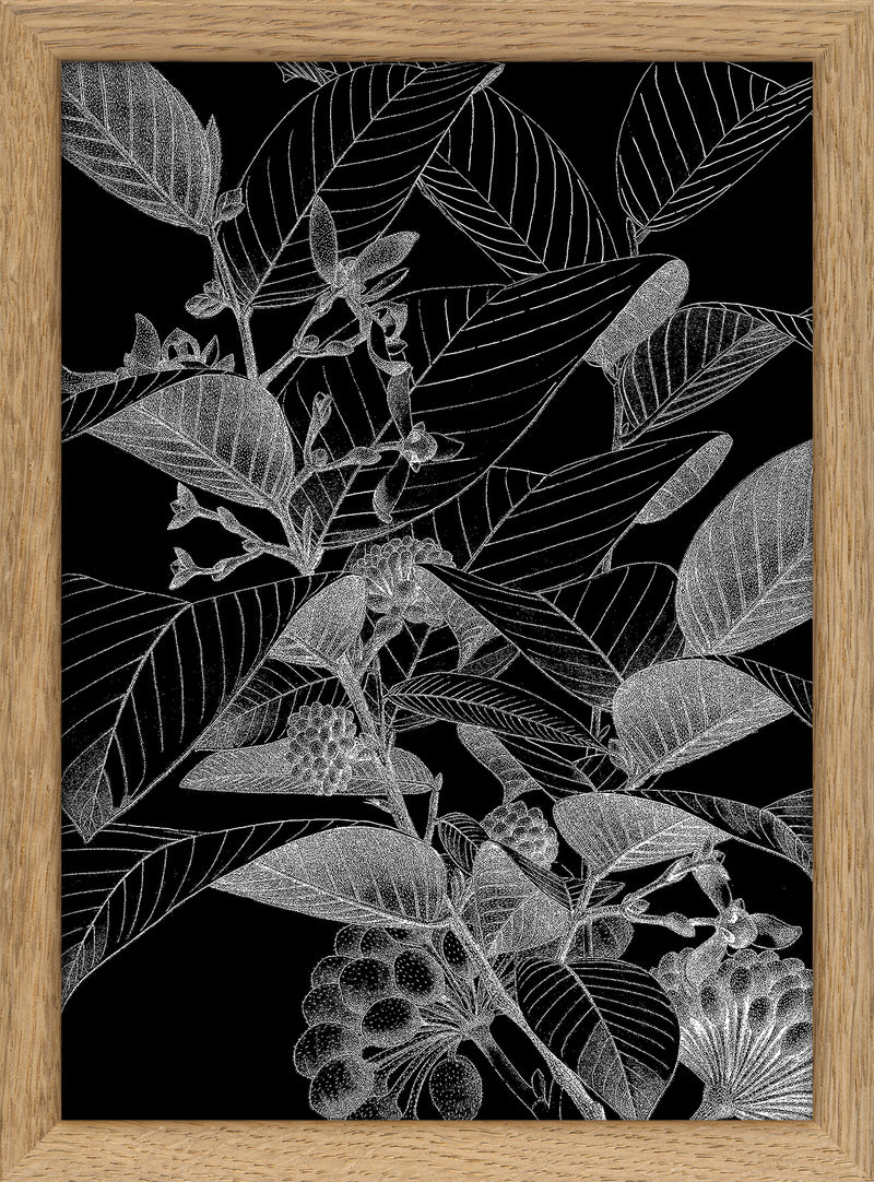 Botanical Study VII. Mini Print