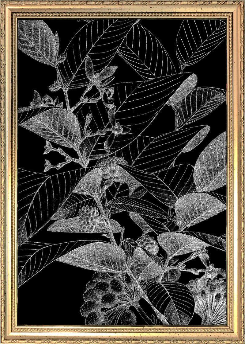 Botanical Study VII. Mini Print