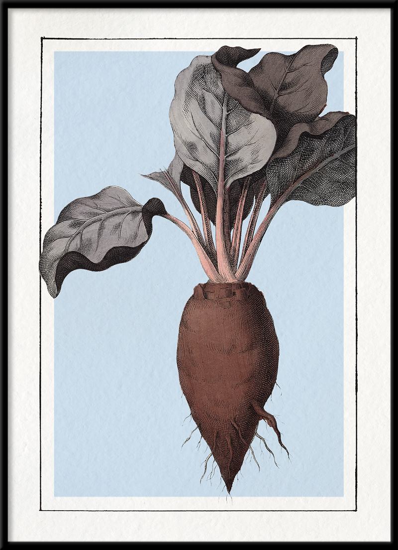 Beet. Mini Print