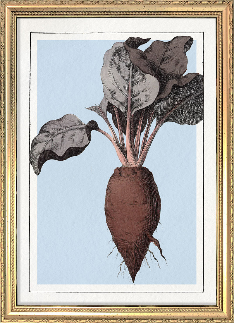 Beet. Mini Print