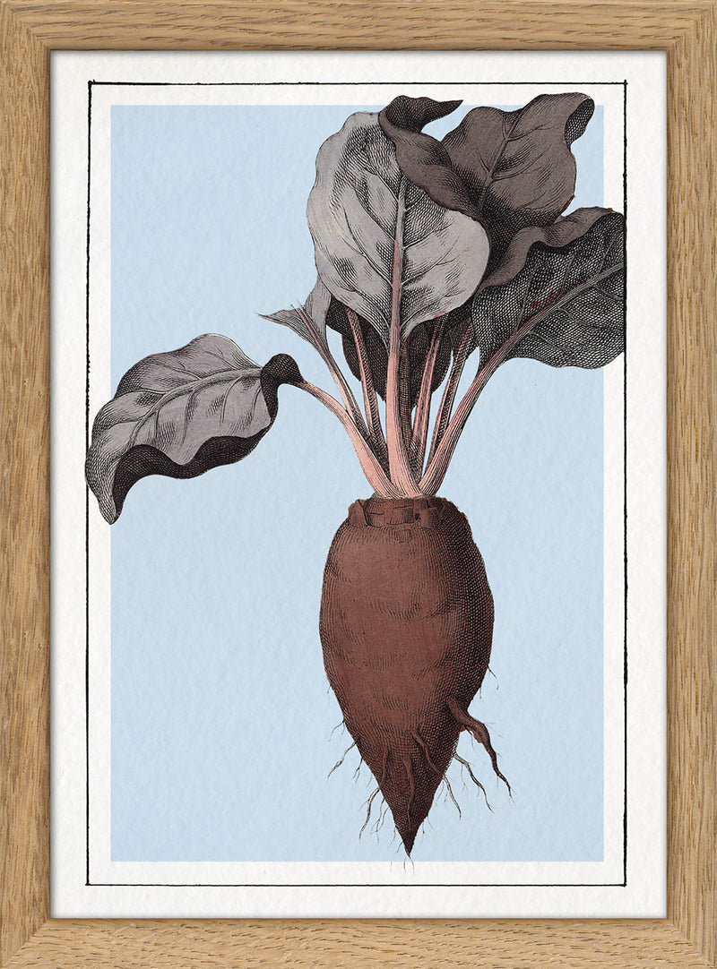 Beet. Mini Print