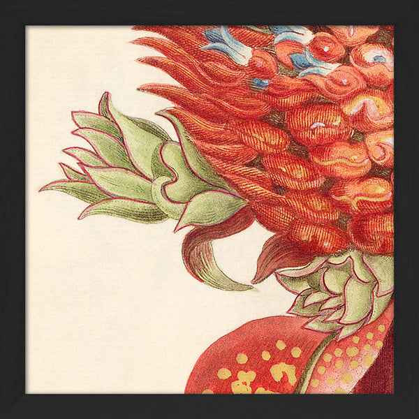 Red Pineapple Close Up. Mini Print