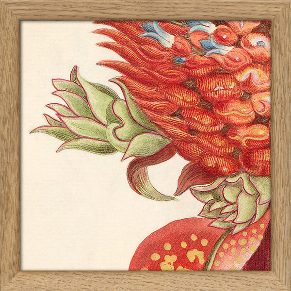 Red Pineapple Close Up. Mini Print