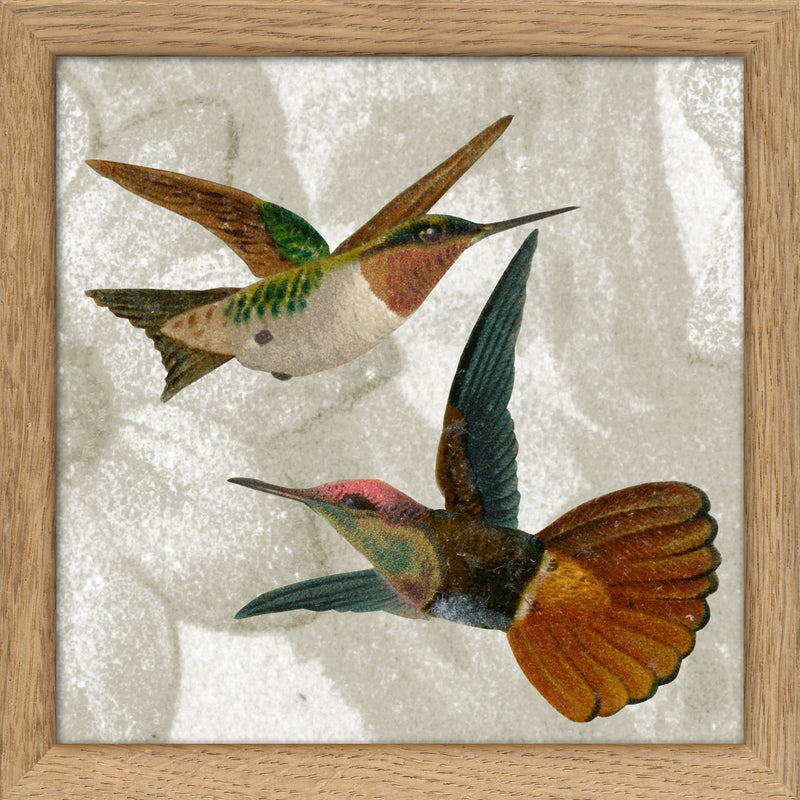 Two Flying Hummingbirds. Mini Print