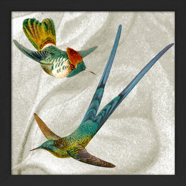 Two Flying Hummingbirds. Mini Print