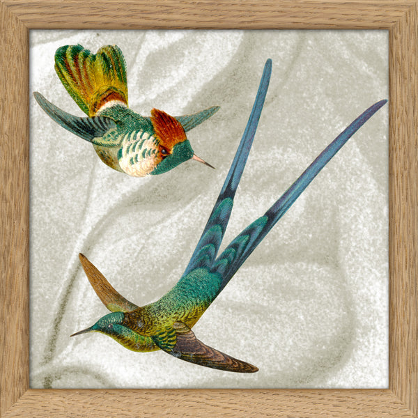 Two Flying Hummingbirds. Mini Print