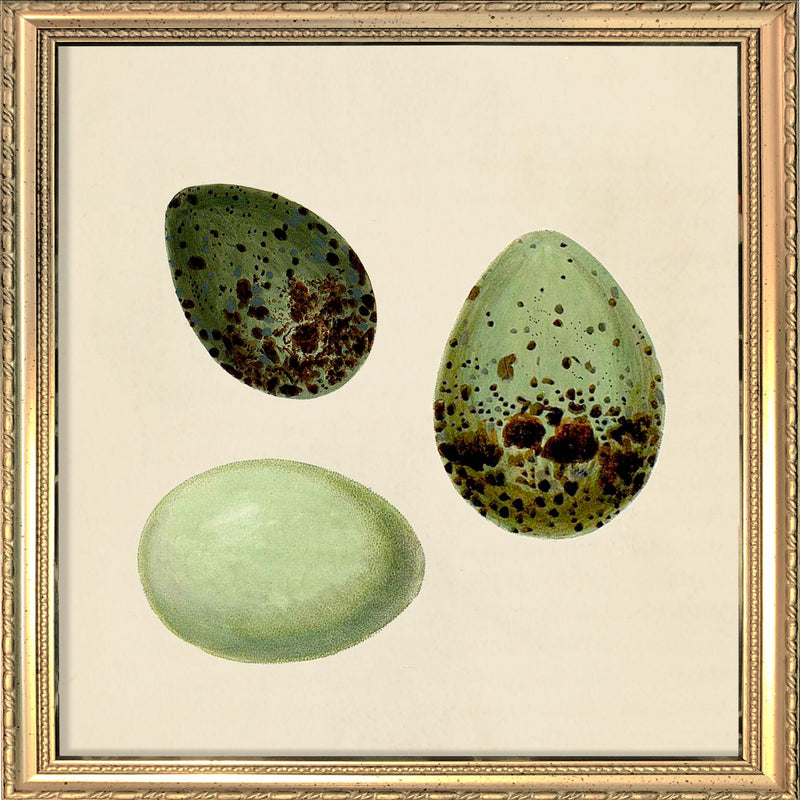 Three Green Eggs. Mini Print