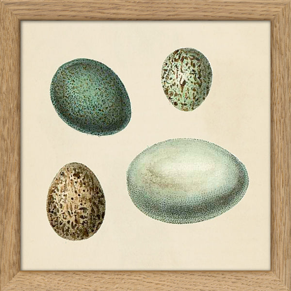 Four Green Eggs. Mini Print