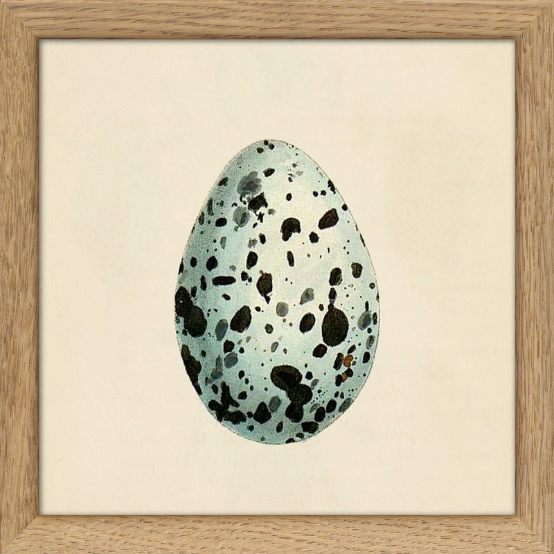 Mint Green Dotted Egg. Mini Print