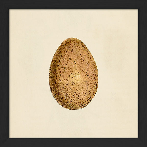 Brown Dotted Egg. Mini Print