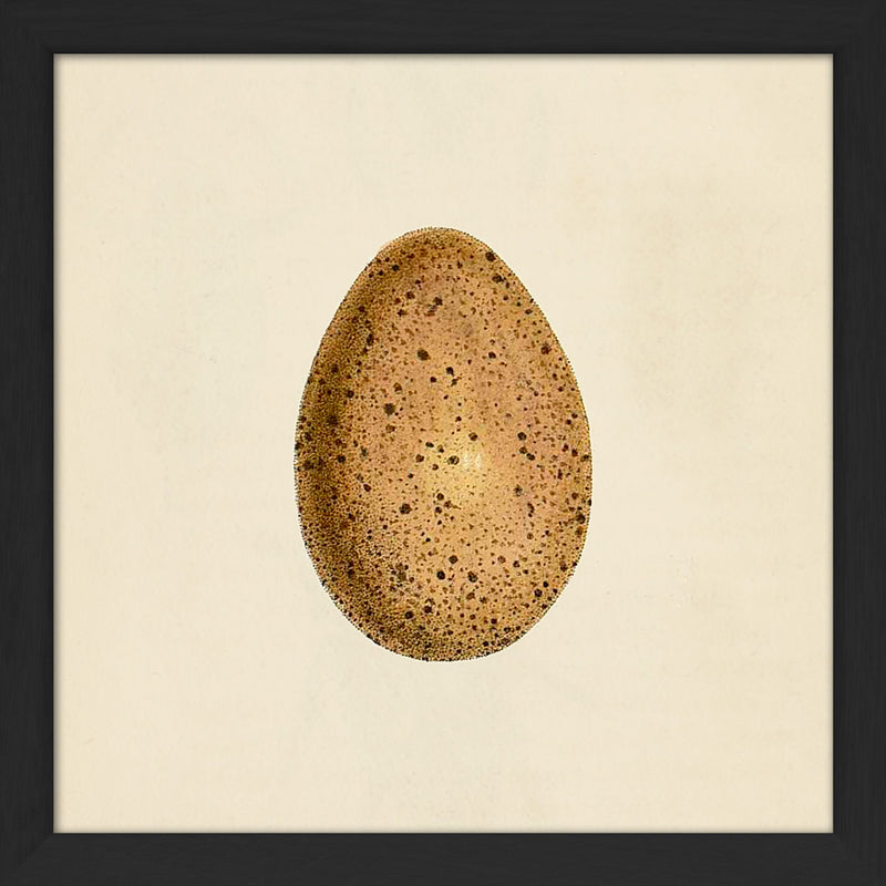 Brown Dotted Egg. Mini Print