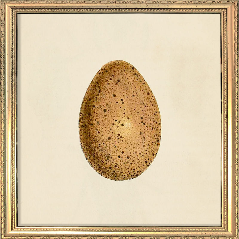 Brown Dotted Egg. Mini Print