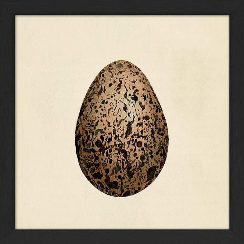 Brown Dotted Egg. Mini Print