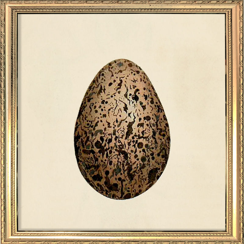 Brown Dotted Egg. Mini Print