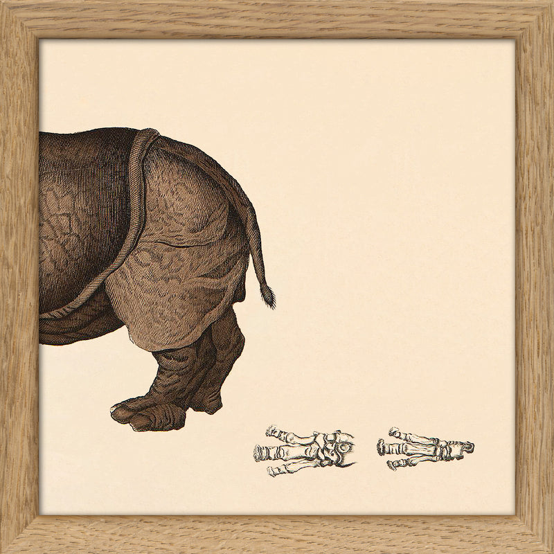 Rhinoceros Rear. Mini Print