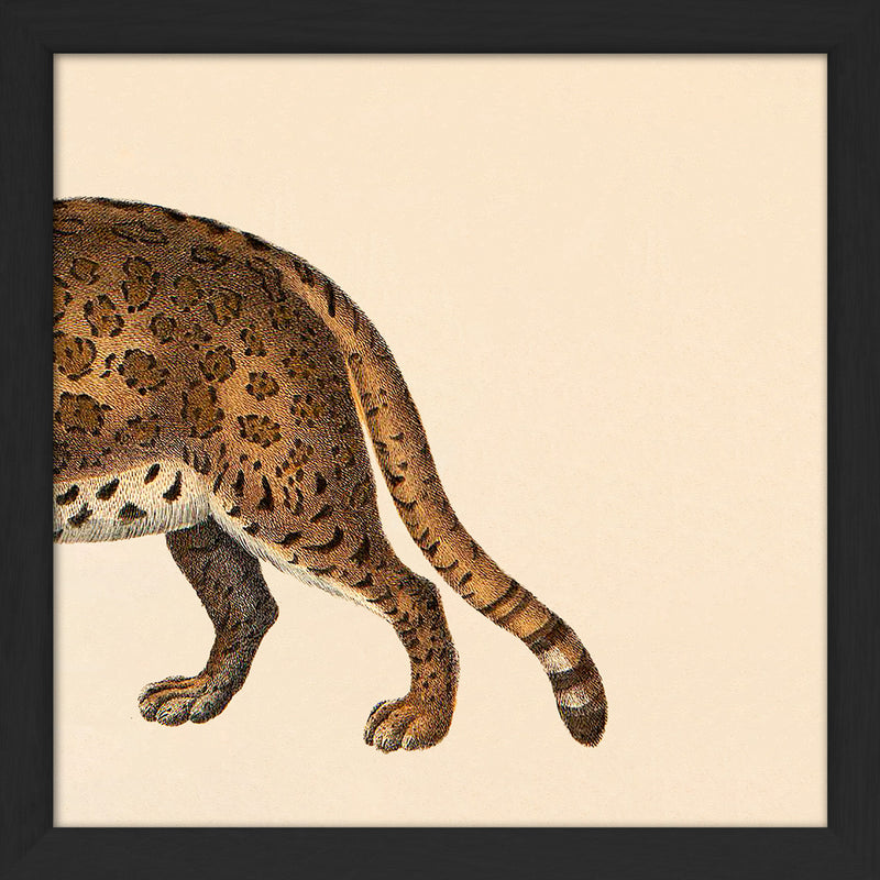 Leopard Rear. Mini Print