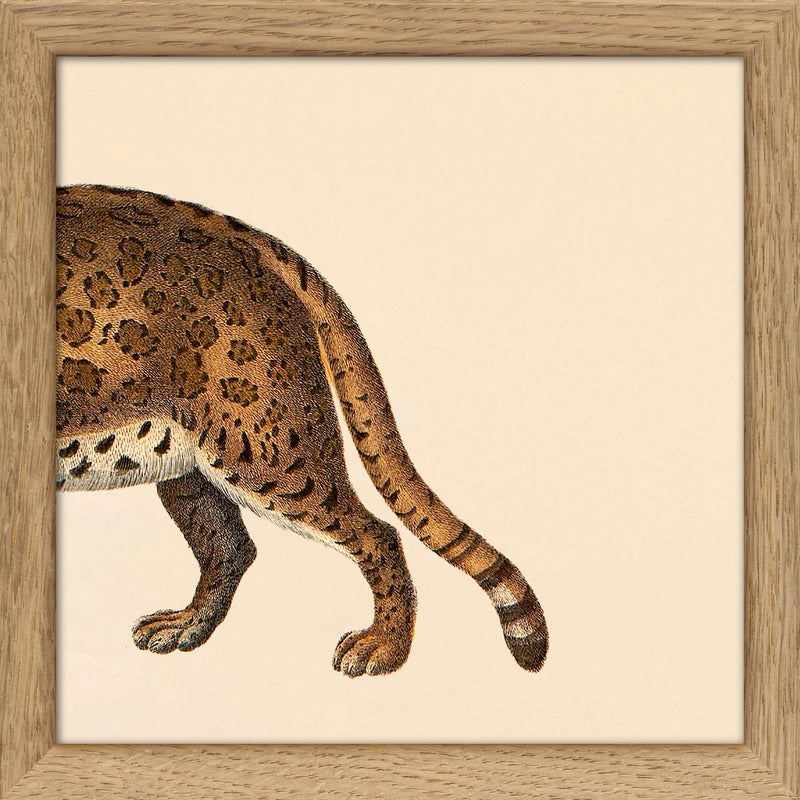 Leopard Rear. Mini Print