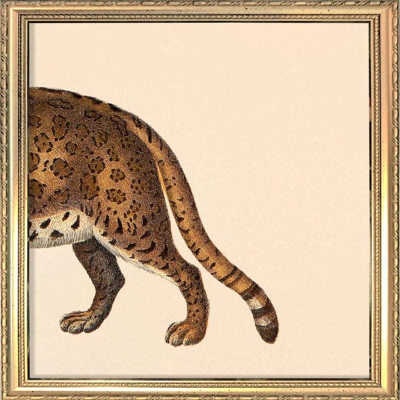 Leopard Rear. Mini Print