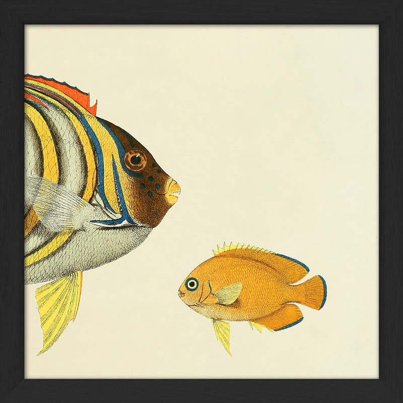 Yellow Striped Fish Head and Small Orange Fish. Mini Print