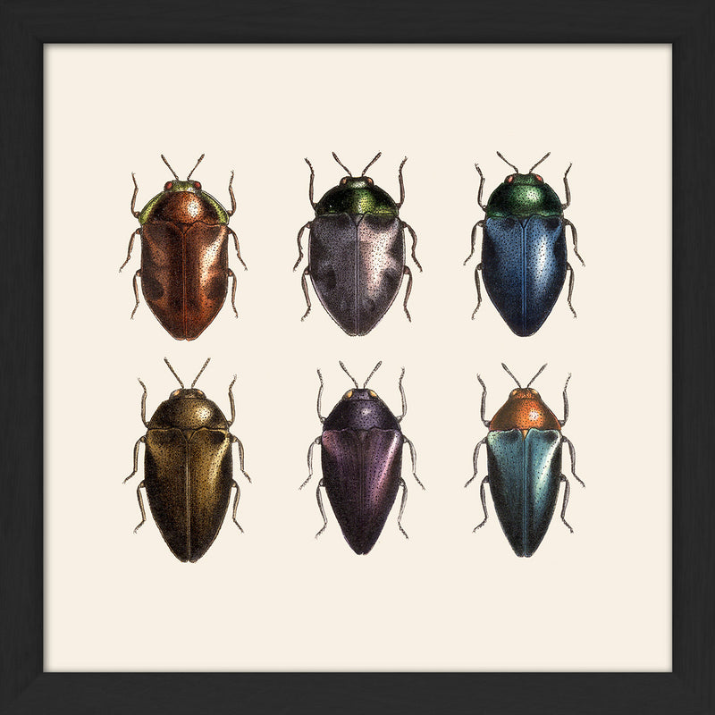 Six Beetles. Mini Print