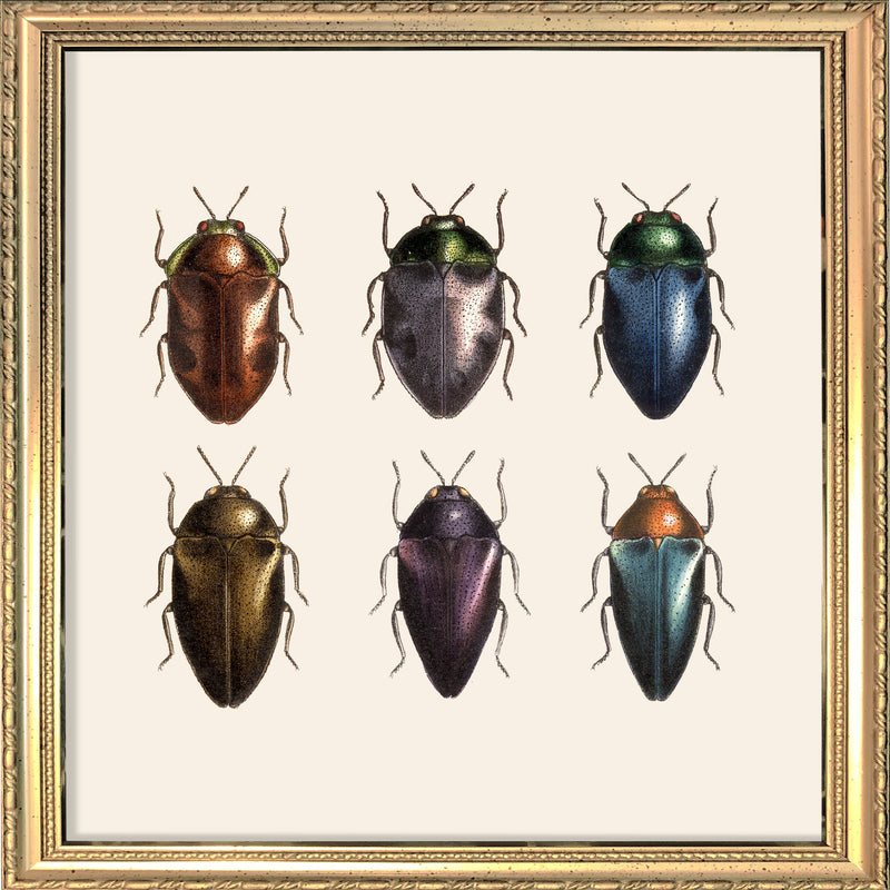 Six Beetles. Mini Print