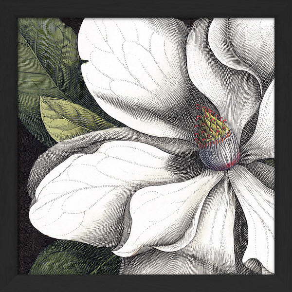 White Magnolia Close Up. Mini Print