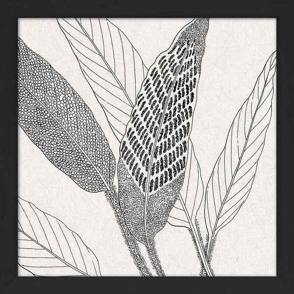 Botanical Study XV. Mini Print
