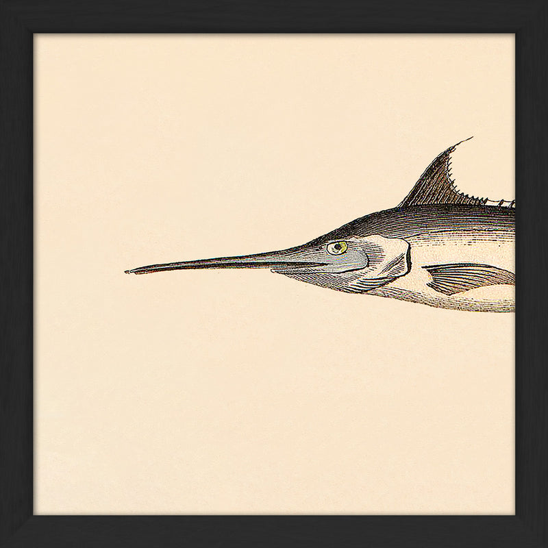 Sword Fish Head. Mini Print