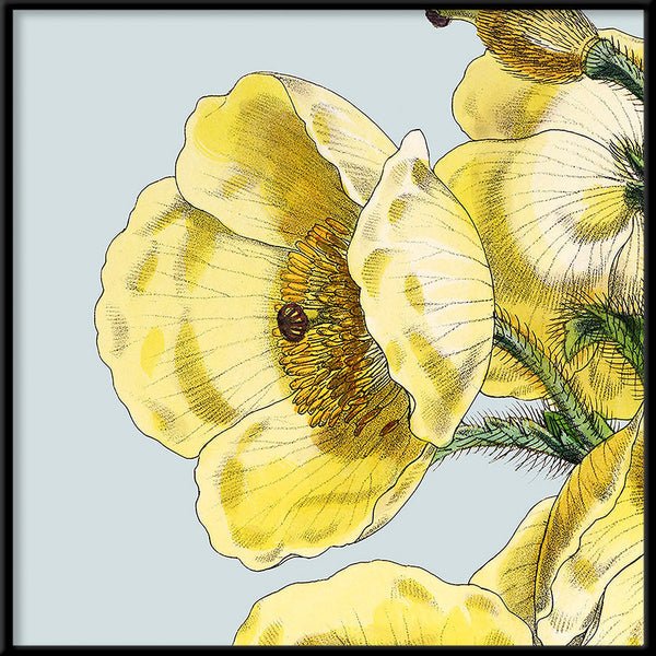 Yellow detail flower. Mini Print