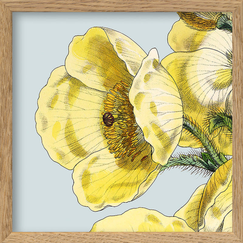 Yellow detail flower. Mini Print