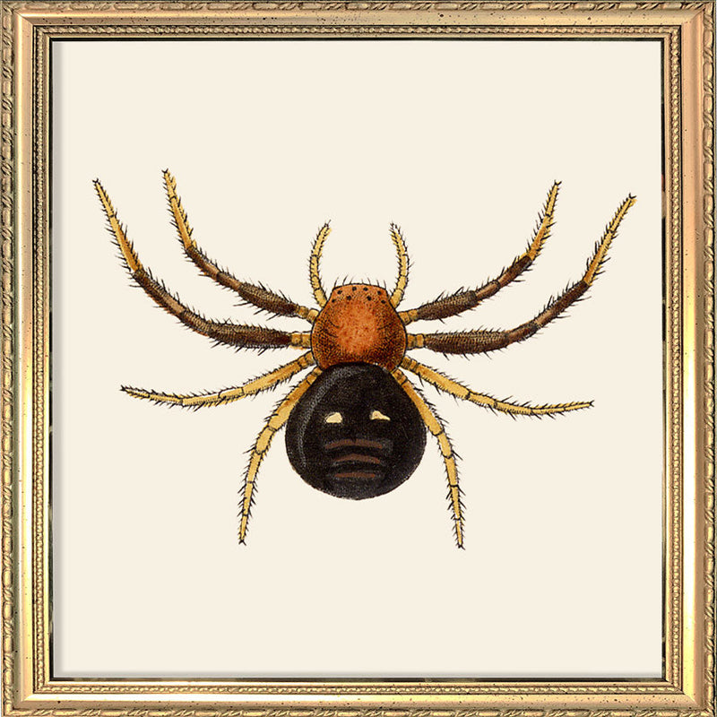 Spider. Mini Print