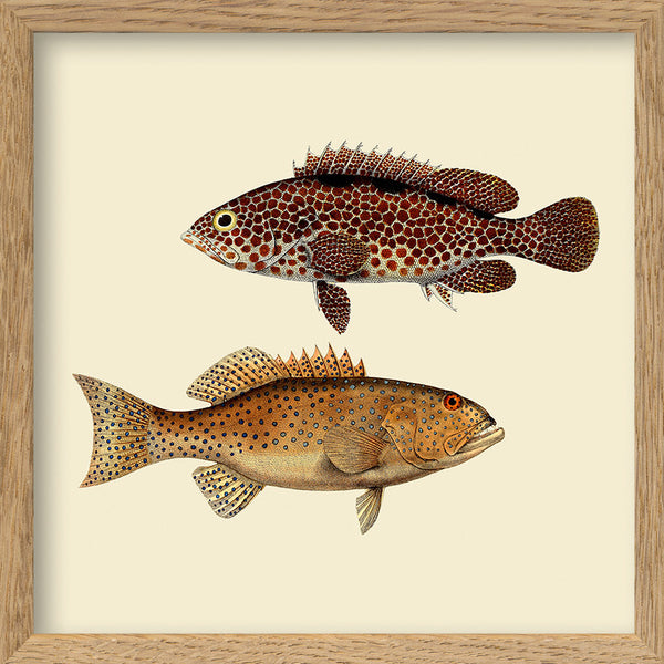 Two Fish. Mini Print