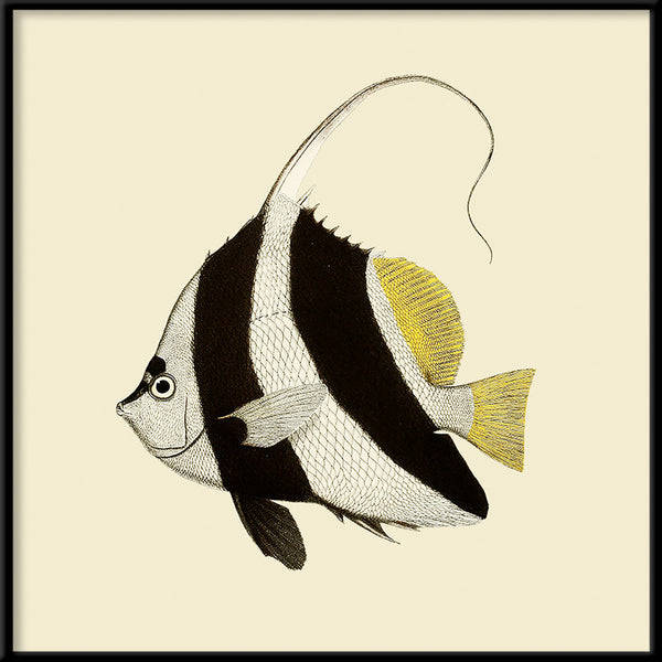 Black and White fish. Mini Print