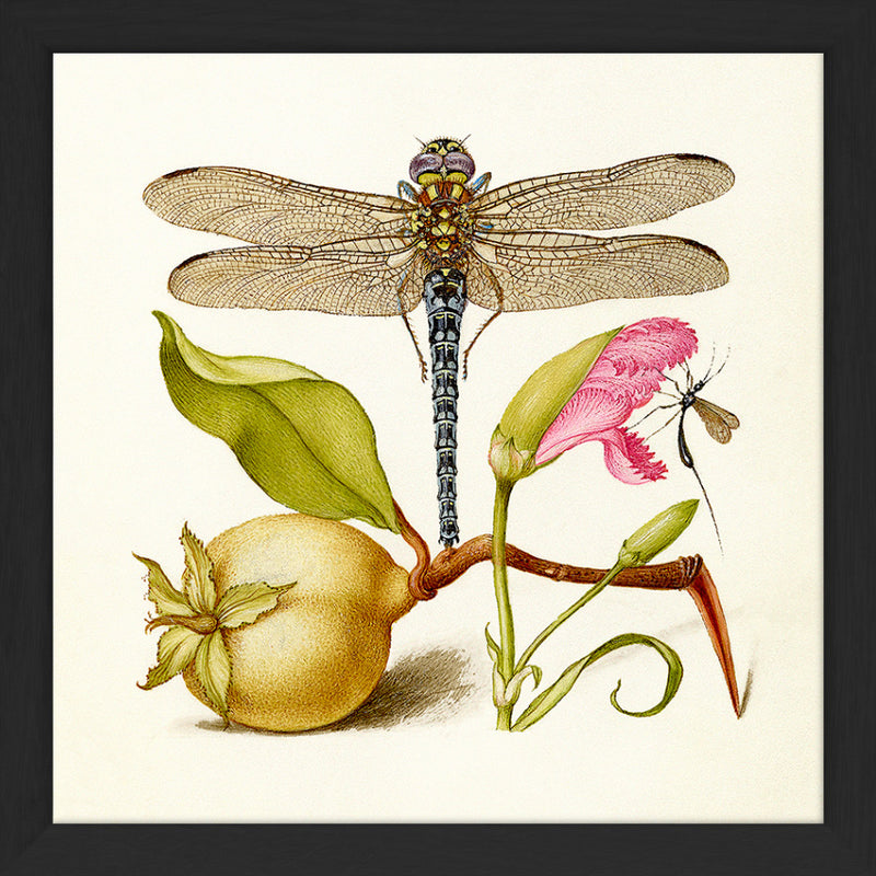 Dragonfly. Mini Print