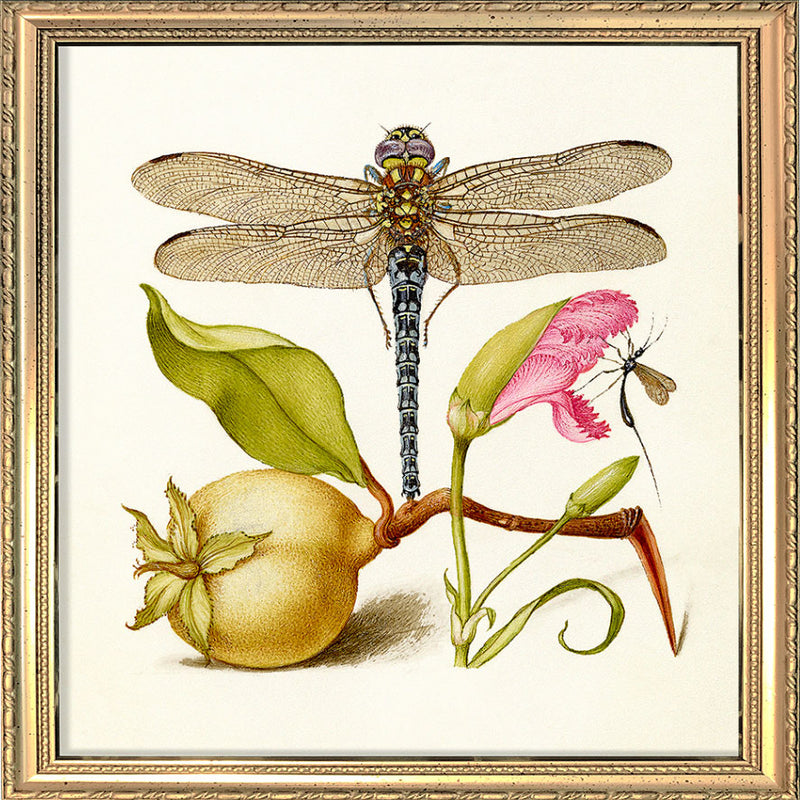 Dragonfly. Mini Print