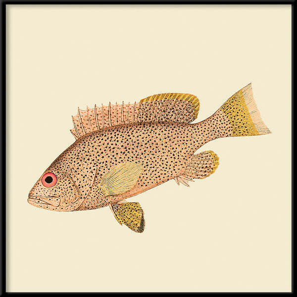 Light Pink Fish. Mini Print