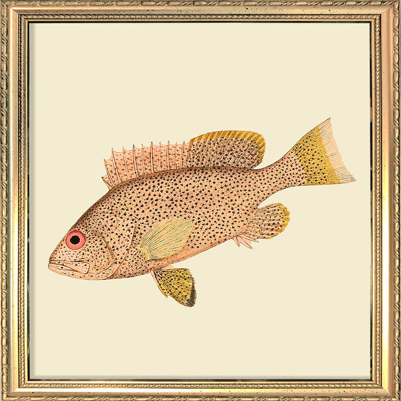 Light Pink Fish. Mini Print