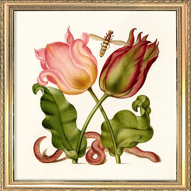 Worm and Tulips. Mini Print